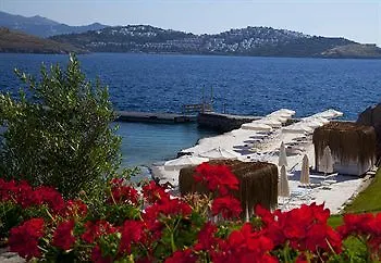 Palmalife And Bodrum Yalıkavak